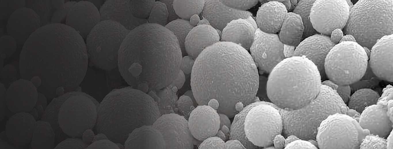 Cenospheres hollow microspheres